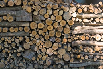 Möbelaufkleber Brennholz, Holzlager, Holzstapel © Blacky