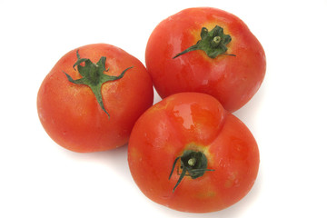 Tomaten