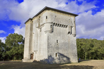 Fototapeta na wymiar Francja, 85; Poitevin bagna Moricq wieża, 15 wieku