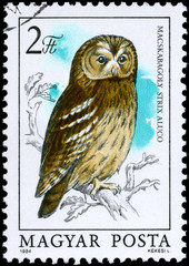HUNGARY - CIRCA 1984 Tawny Owl