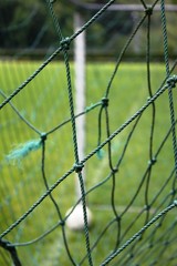 Ball im Netz, oder ?