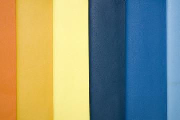 Decorative and fashion leather skin color chart.