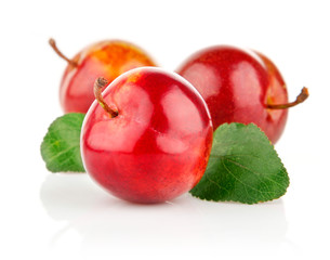 fresh plum fruits with green leaves