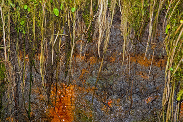 querschnitt durch stark eisenhaltige Erde