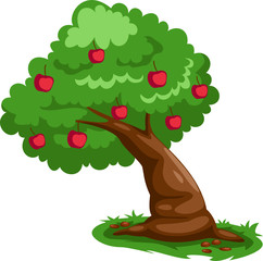 Apple tree