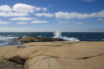 Swedish summer on the west coast