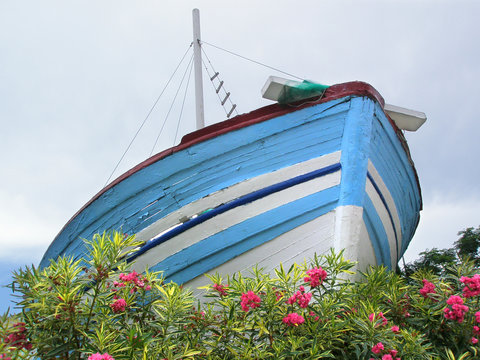 Un barco sobre flores