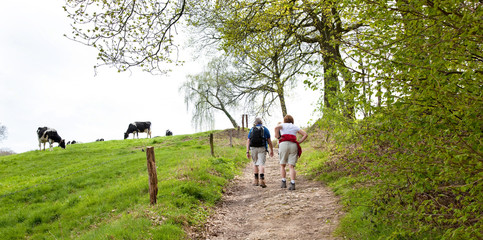 Fototapeta premium elderly couple walking