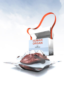 Human-Organ