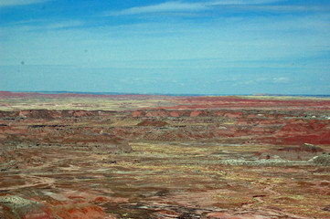 Petrified Forest Landscape - Arizona
