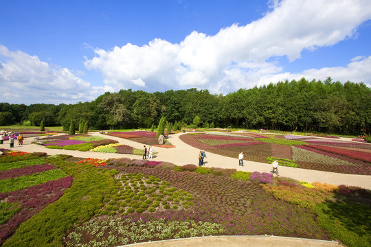 Schneverdingen Heide