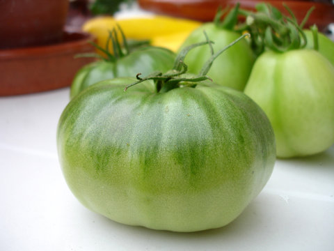 tomate verte