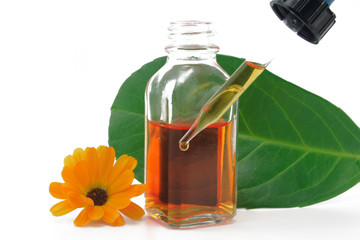 ringelblume mit tropfen