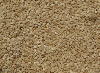 White sesam seeds background