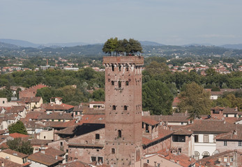 Fototapeta na wymiar Wieża Guinigi - Lucca