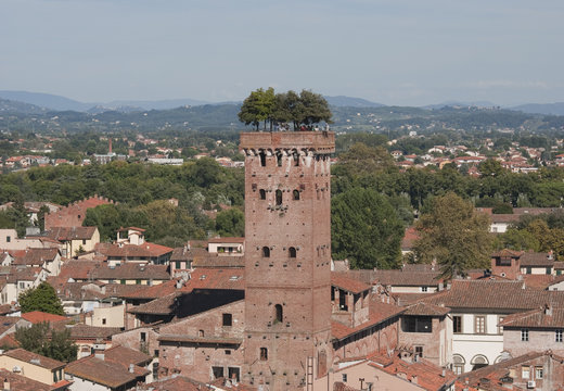 Torre Guinigi - Lucca