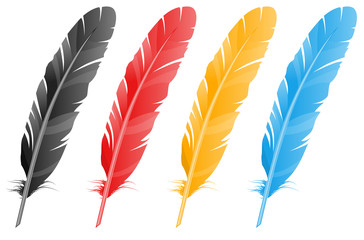 Vector feather. Four variants of color.