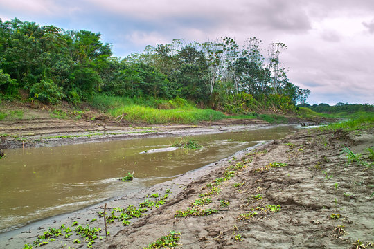 Amazonaszufluss (Yanayacu) in der Trockenzeit (Loreto, Peru)