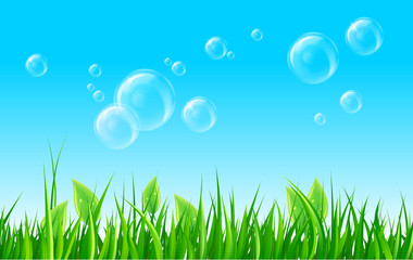 Fototapeta na wymiar Soap bubbles on summer meadow