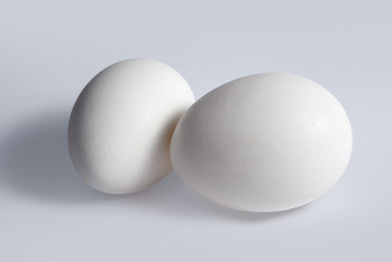 White eggs on white