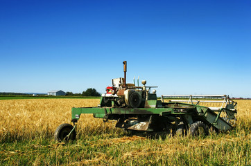 Fototapeta premium Old rusted combine harvester and barley field