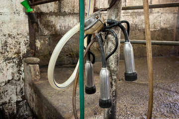 Milking Machine