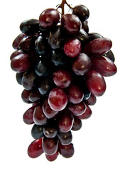 Grape