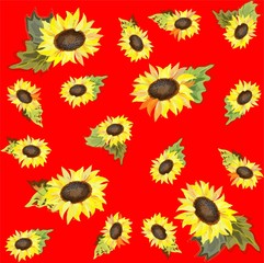 Background. Sunflower.