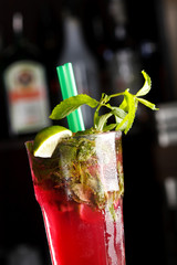 mojito in the bar