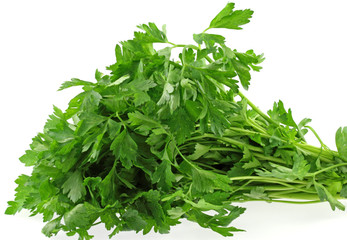 bouquet de persil, fond blanc
