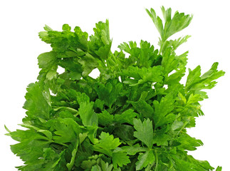 feuilles persil, fond blanc