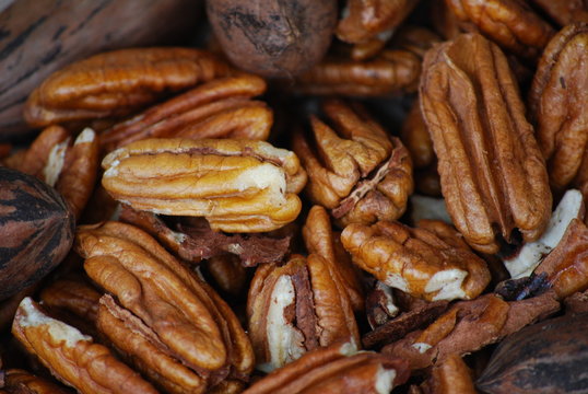 Noix de p&eacute;can