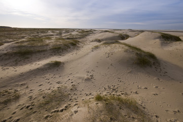 Promenade le long de la réserve naturelle de la Baie de Somme, a