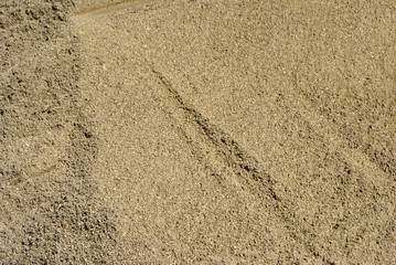 texture sand