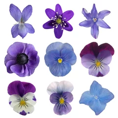 Papier peint photo autocollant rond Fleurs Collection de fleurs bleues