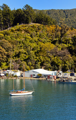 Fototapeta na wymiar Sailing Boat in Marlborough Sounds, New Zealand.