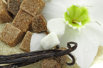 sucres fin et en morceaux, vanille, fleur de lys de la vierge