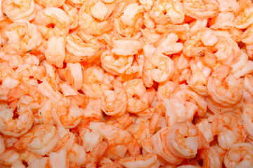 cooking ingredients-shrimp