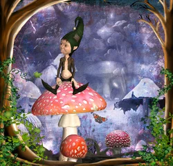 Foto op Plexiglas Feeën en elfen kabouter op paddenstoel