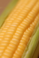 Corn