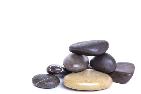 Wellness #2