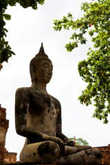 Obraz premium Buddha Image in Wat Mahathat Ayutthaya of Thailand