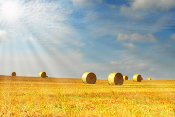 Sonnenstrahlen fallen auf Feld mit Strohrollen
