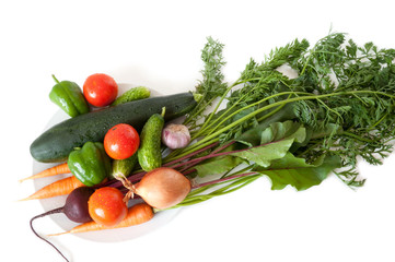 Fresh vegetables from the garden on a white plate