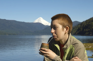 yerba mate, landscape of the volcano Lanin(lakargentina)