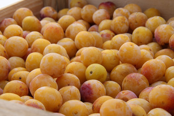 Mirabelles