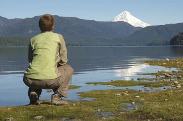 looking  the lake Lacar (parco lanin - argentina)
