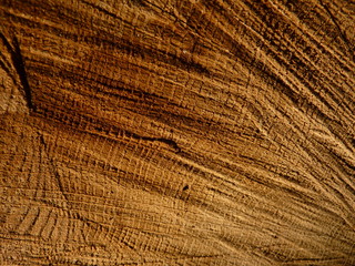 Fototapeta premium Holzmaserung