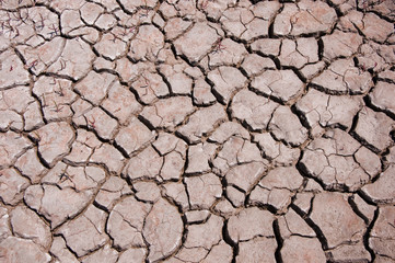 Trockenheit