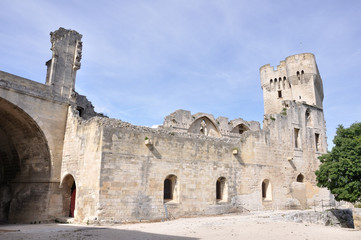 abbaye de montmajour 32